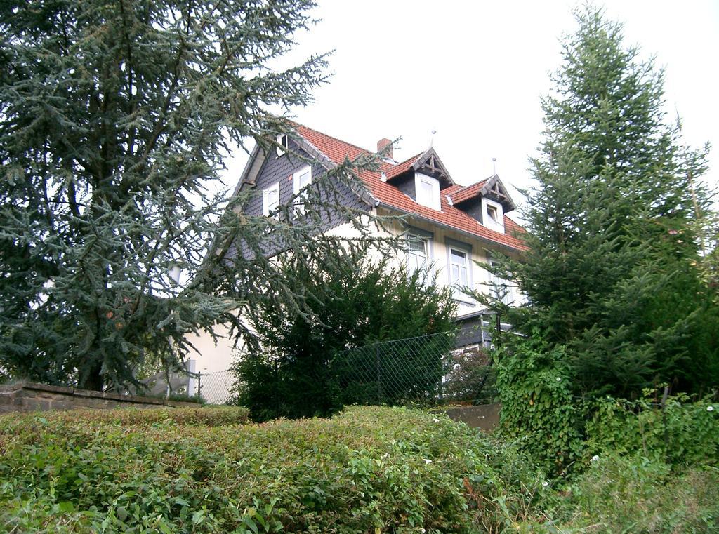 Pension Haus Martha Bad Grund Bagian luar foto